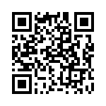 2N1613 QRCode