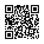 353WB5I250R QRCode