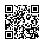 53 QRCode