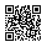 6102004 QRCode