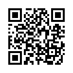 637P4002I2T QRCode