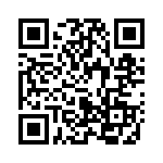 650613-1 QRCode