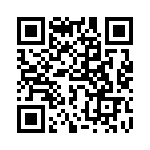 768161152G QRCode