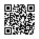 BB208-03-135 QRCode