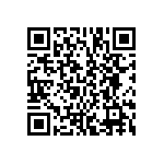 BCS-127-L-S-DE-009 QRCode