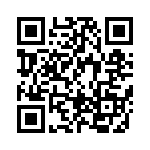 BFC236863334 QRCode