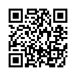 BFC238311304 QRCode