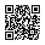 C8051F065 QRCode