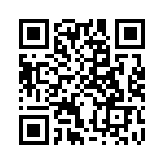 CRB2A4E513JT QRCode