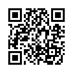 CT137 QRCode