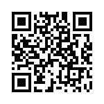 D09P91C4GX00LF QRCode