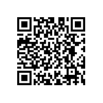 D55342E07B3B48RWS QRCode