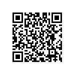 D55342E07B845ERWS QRCode