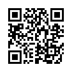 DEBE33D102ZA2B QRCode