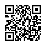 DS1013-20_1A3 QRCode