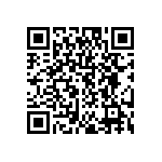 DW-04-09-T-S-319 QRCode