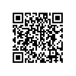 DW-04-13-F-S-975 QRCode