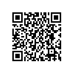 DWM-04-54-G-S-256 QRCode