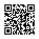 EVM-2NSX80B13 QRCode