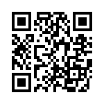 KE101151A000G QRCode