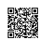 L2C2-30701204E1300 QRCode