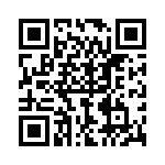 P6KE300-B QRCode