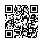 PK30X256VLQ100 QRCode