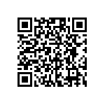 RG1005P-913-C-T10 QRCode