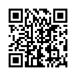 RK102PJ333CS QRCode