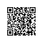 RNC55H1111BSBSL QRCode