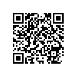 RNC55H2493BSBSL QRCode