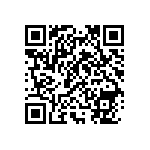 RNC55H29R4BSRSL QRCode