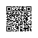 RT1206BRC07324KL QRCode