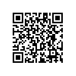 RT1206WRC0711R3L QRCode