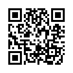 RT9917GQW QRCode