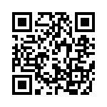 T102P3T9V3PE QRCode