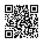 T31104540000G QRCode