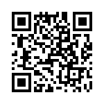 T38022-04-0 QRCode