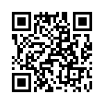 T38048-02-0 QRCode