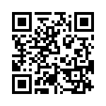 T38463-22-0 QRCode