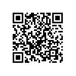 T95R127K020EBBL QRCode