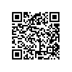 VG95234B1-28-11PN QRCode