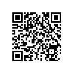 VG95234B220A9PN QRCode