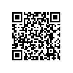 VJ0402D0R2CLAAP QRCode