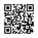 27935-38T12 QRCode