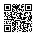 2N2919_1B3 QRCode