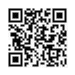 300X10119X QRCode