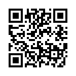 593203120013F QRCode