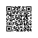 6STF15PAM04B40X QRCode