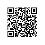 B25620B1306K981 QRCode